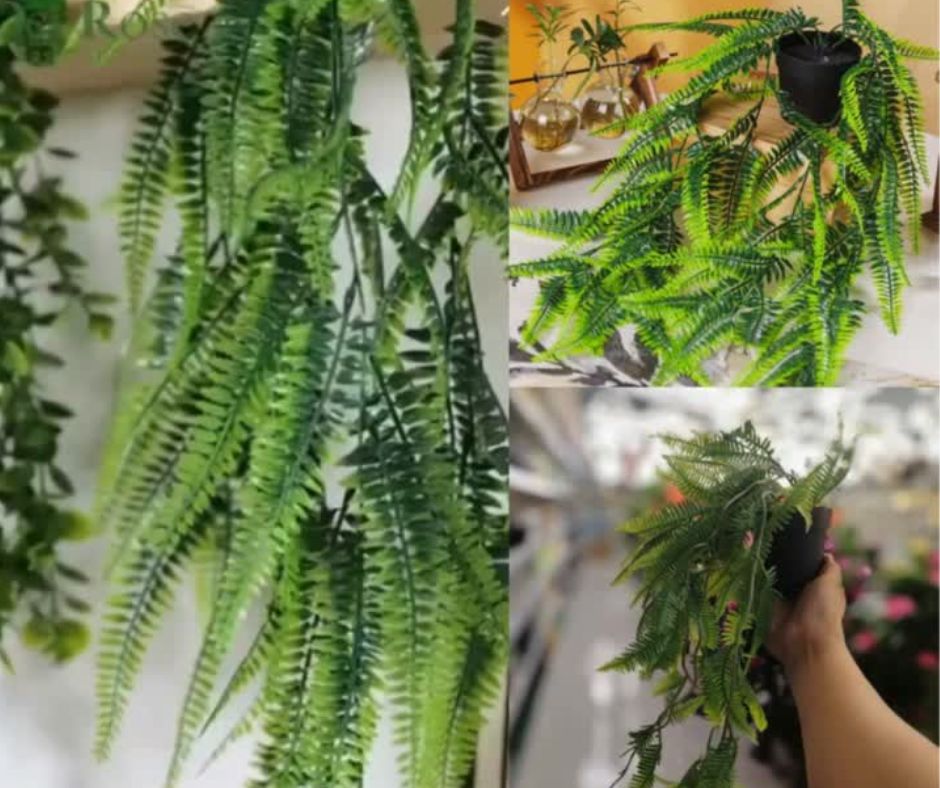 🪴Maceta cola de quetzal🪴