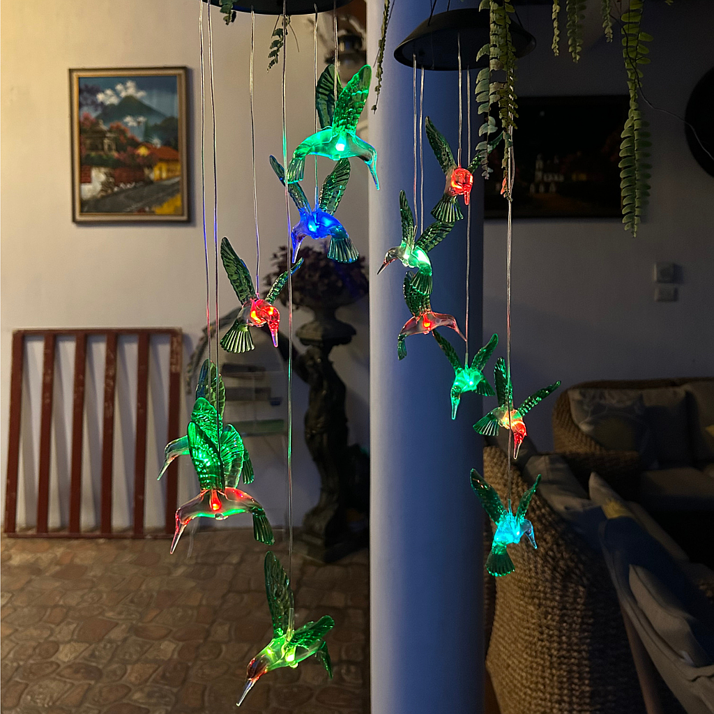 🌿Colibrís Magicos Solares🌞